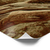 Poster Sand goanna (Coin)