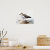 Poster Sanderling Bird Art Imprimer l'affiche (Cuisine)