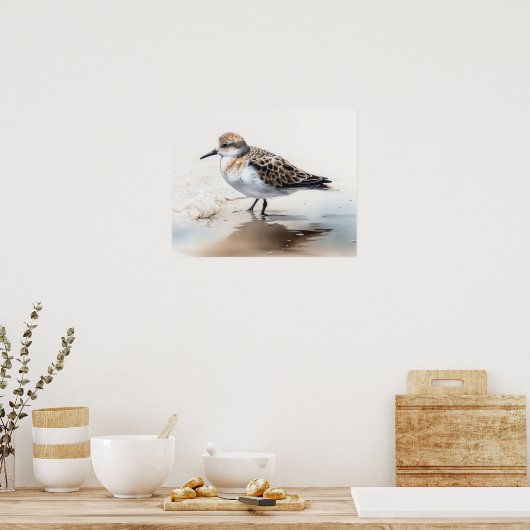 Poster Sanderling Bird Art Imprimer l'affiche (Cuisine)