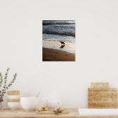 Poster Sandpiper (Cuisine)