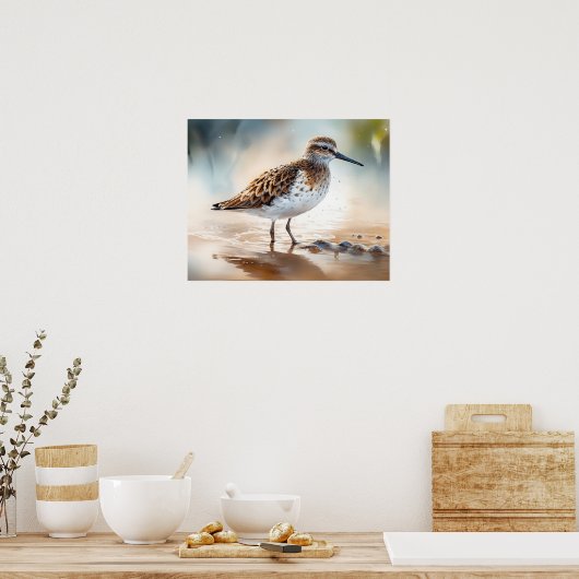Poster Sandpiper Bird Art Imprimer l'affiche (Cuisine)
