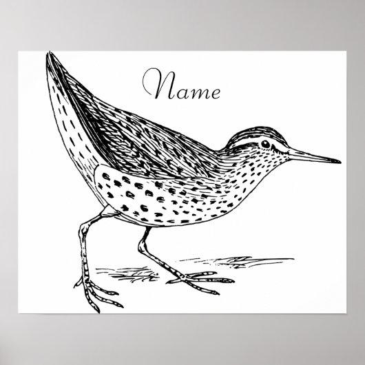 Poster Sandpiper Shorer Thunder_Cove (Devant)