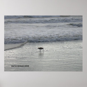 Poster Sandpiper solitaire à Watsonville Beach