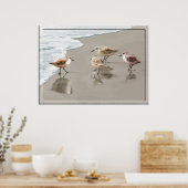 Poster Sandpipers à la ligne de rivage (Cuisine)