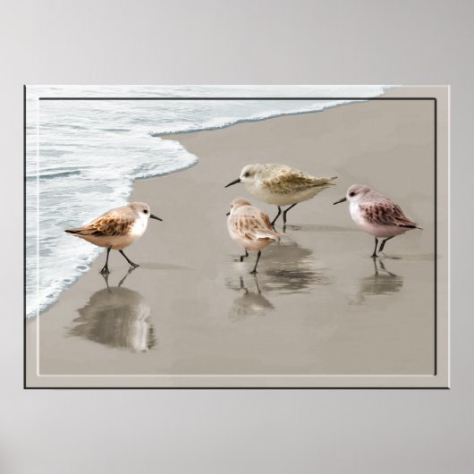 Poster Sandpipers au bord du rivage (Devant)