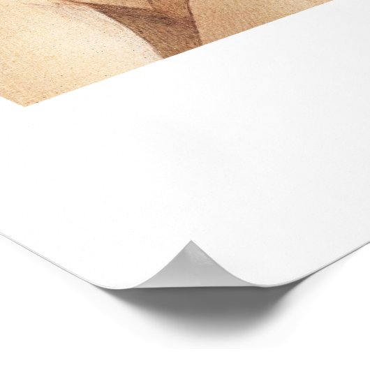 Poster Sandro Botticelli La naissance de l'exposition d'a (Coin)