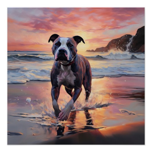 Poster Sandy American Staffordshire Dog on Beach Sunset (Devant)