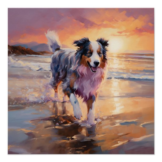 Poster Sandy Australian Shepherd Dog on Beach Sunset (Devant)