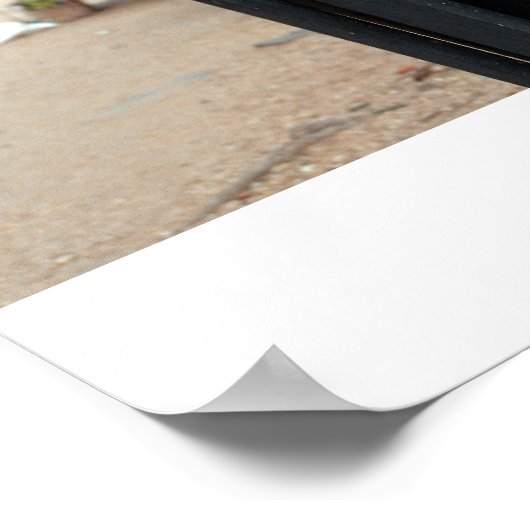 Poster Sans abri (Coin)