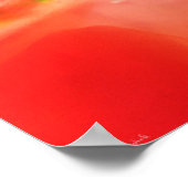 Poster sans amour (Coin)