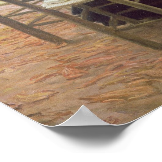 Poster Sans dot, 1883-5 (Coin)