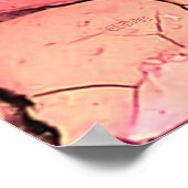 Poster Sans eau (Coin)