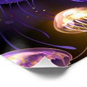 Poster Sans joint avec méduse éclatante (Coin)