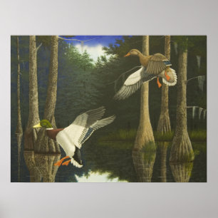 Poster Sans risque maison