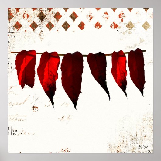 Poster sans titre (Devant)