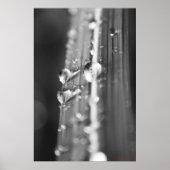 Poster Sans titre (Devant)