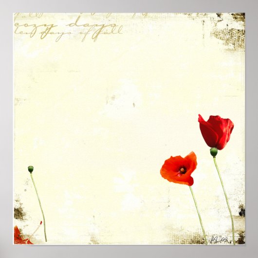 Poster sans titre (Devant)