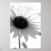 Poster sans titre (Devant)