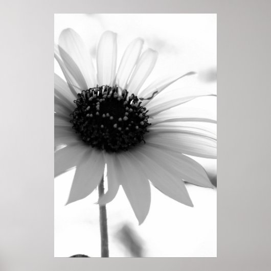 Poster sans titre (Devant)