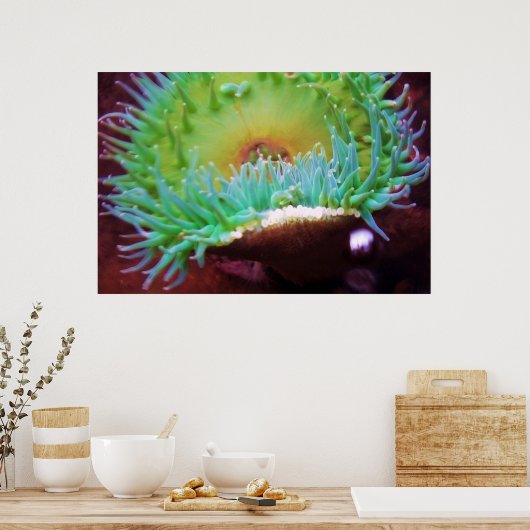 Poster Sans titre (Cuisine)