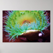 Poster Sans titre (Devant)