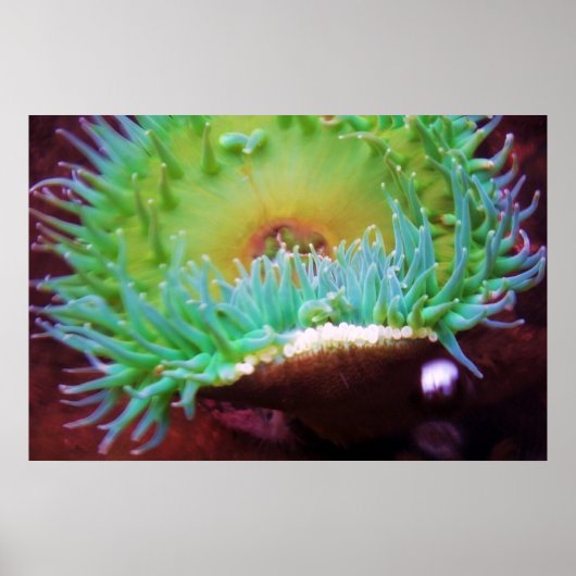 Poster Sans titre (Devant)