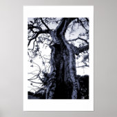 Poster Sans titre (Devant)