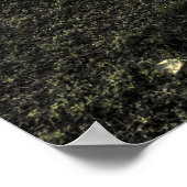 Poster Sans titre à Miami (Coin)