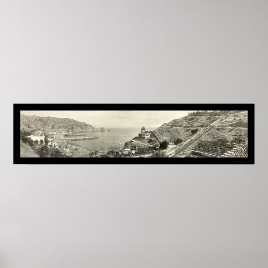 Poster Santa Catalina Island Photo 1914 (Devant)