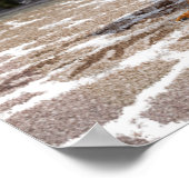 Poster Santa Chicken (Coin)