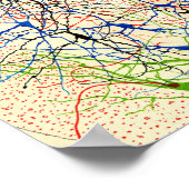 Poster Santiago Ramón Y Cajal Nerve Cells (Coin)