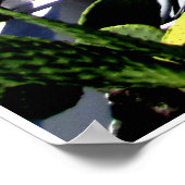 Poster Santorin (Coin)