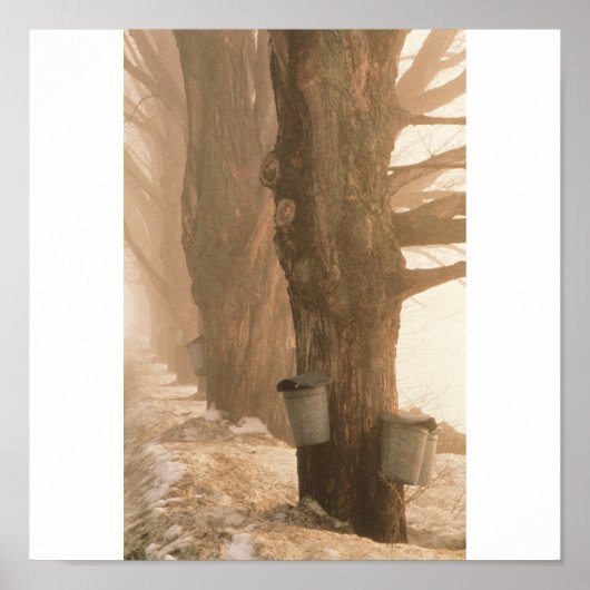 Poster Sap Buckets, Underhill, VT (Devant)
