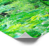 Poster Sapin de Douglas (Coin)