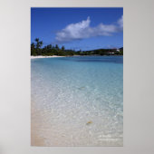 Poster Sapphire Beach, St. Thomas (Devant)
