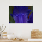 Poster Sapphire Serenity  (Cuisine)