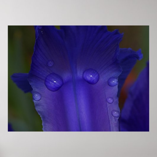 Poster Sapphire Serenity (Devant)