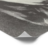 Poster Sappho (Coin)