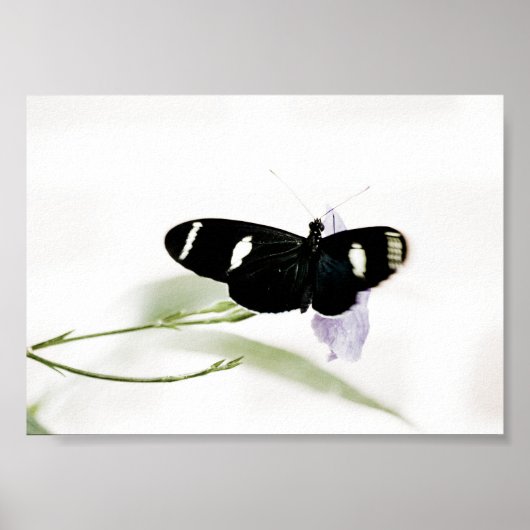 Poster Sara Print (Devant)