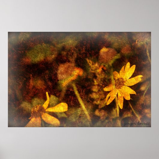 Poster Sarah (Devant)