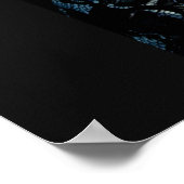 Poster Sarah Palin (Coin)