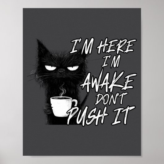Poster Sarcastic Cat Funny Cat I'm Here I'm Awake Don't P (Devant)