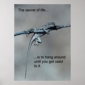 Poster Sarcastique Lizard Secret de vie