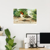 Poster Sarcelle à ailes vertes (Bureau à domicile)