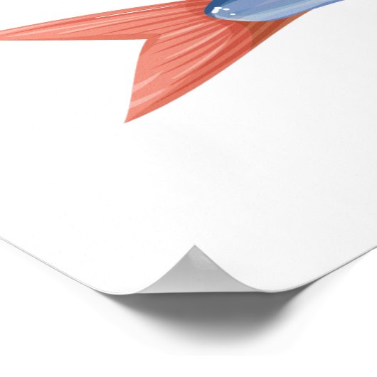 Poster Sardines (Coin)