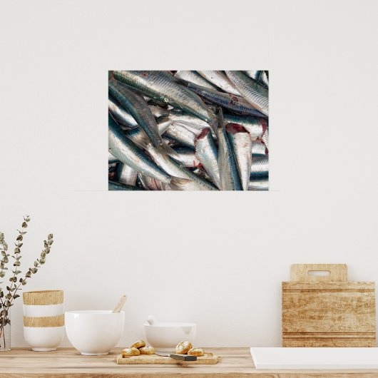 Poster Sardines fraîches (Cuisine)