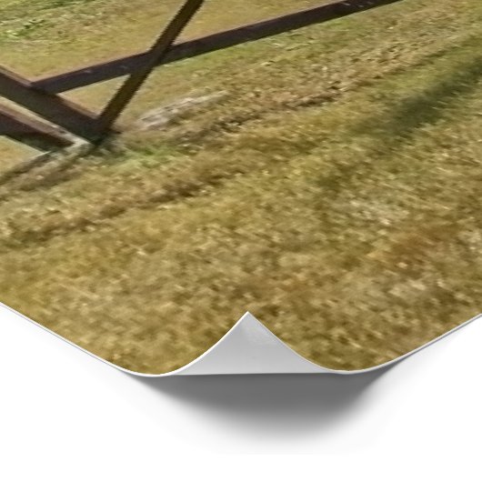 Poster Saremaa, île d'Estonie, (Coin)