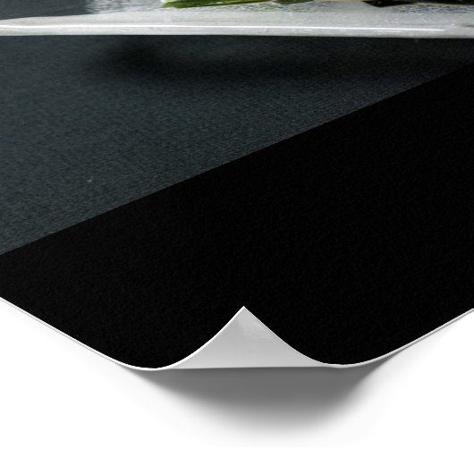 Poster Sashimi au Japon (Coin)