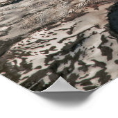 Poster Satellite volcan Mount Rainier Washington (Coin)