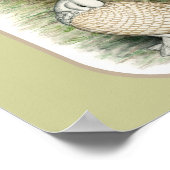 Poster Satinettes de pigeons de frill classique (Coin)